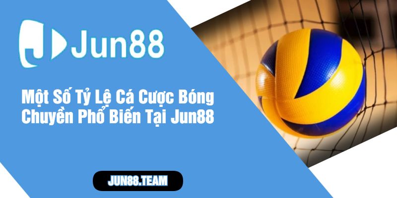Một Số Tỷ Lệ Cá Cược Bóng Chuyền Phổ Biến Tại Jun88