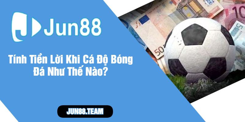 Tính Tiền Lời Khi Cá Độ Bóng Đá Như Thế Nào